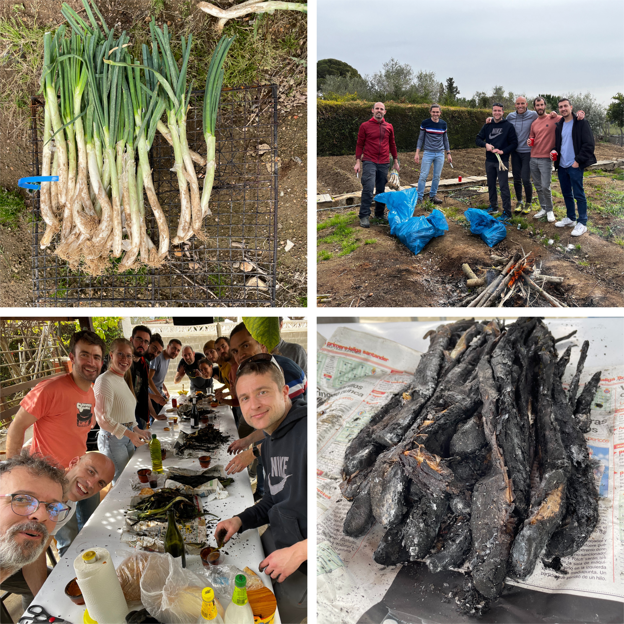 Calçots in Valls